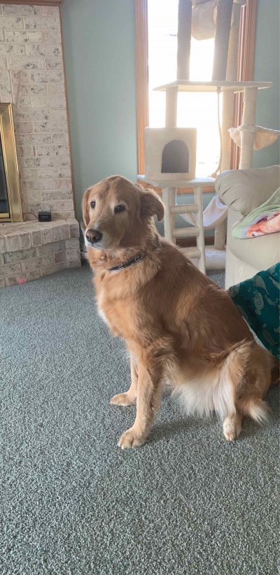 Joliet Scavenger Hunt -tiimikuva